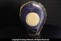 Master Toddys Thai Cobra Kick Shield